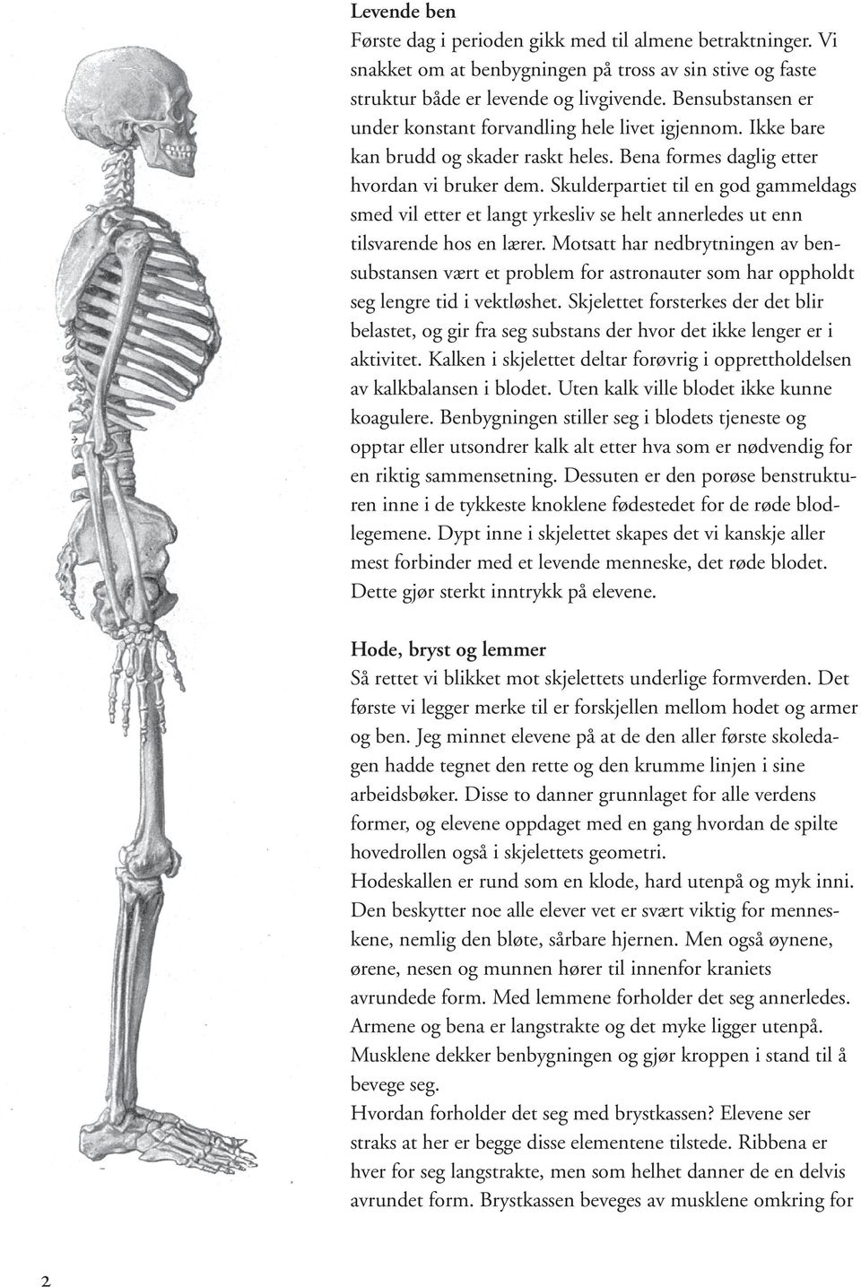 Skulderpartiet til en god gammeldags smed vil etter et langt yrkesliv se helt annerledes ut enn tilsvarende hos en lærer.