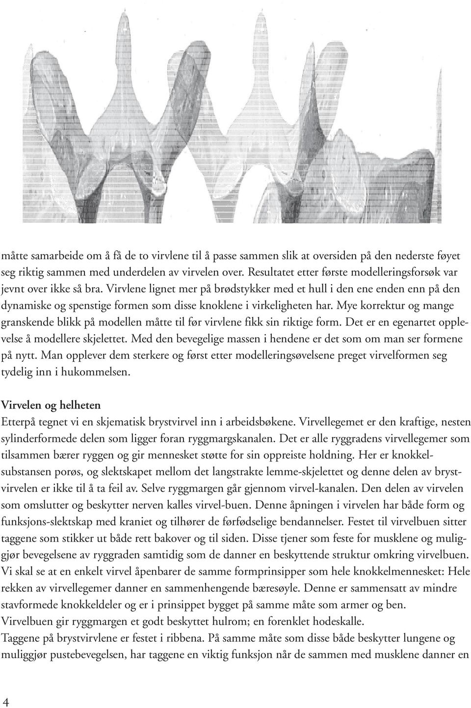 Virvlene lignet mer på brødstykker med et hull i den ene enden enn på den dynamiske og spenstige formen som disse knoklene i virkeligheten har.