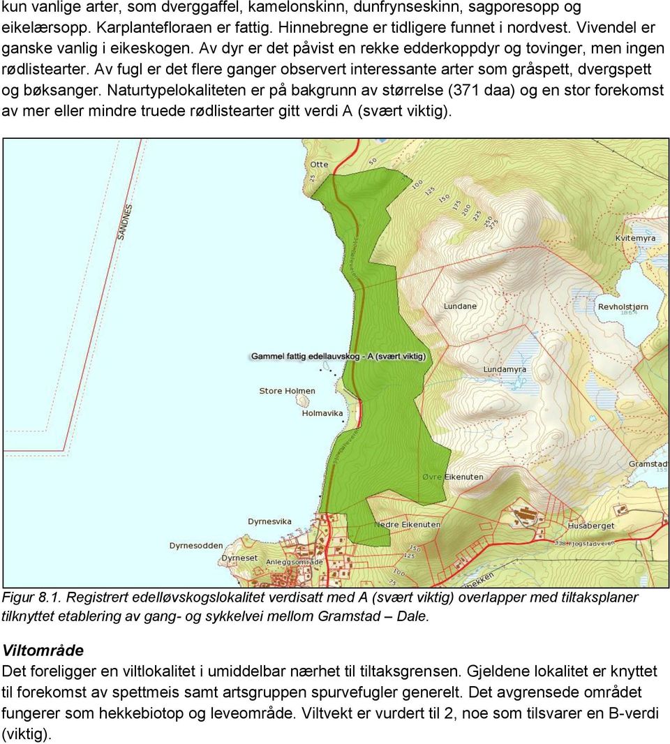 Av fugl er det flere ganger observert interessante arter som gråspett, dvergspett og bøksanger.