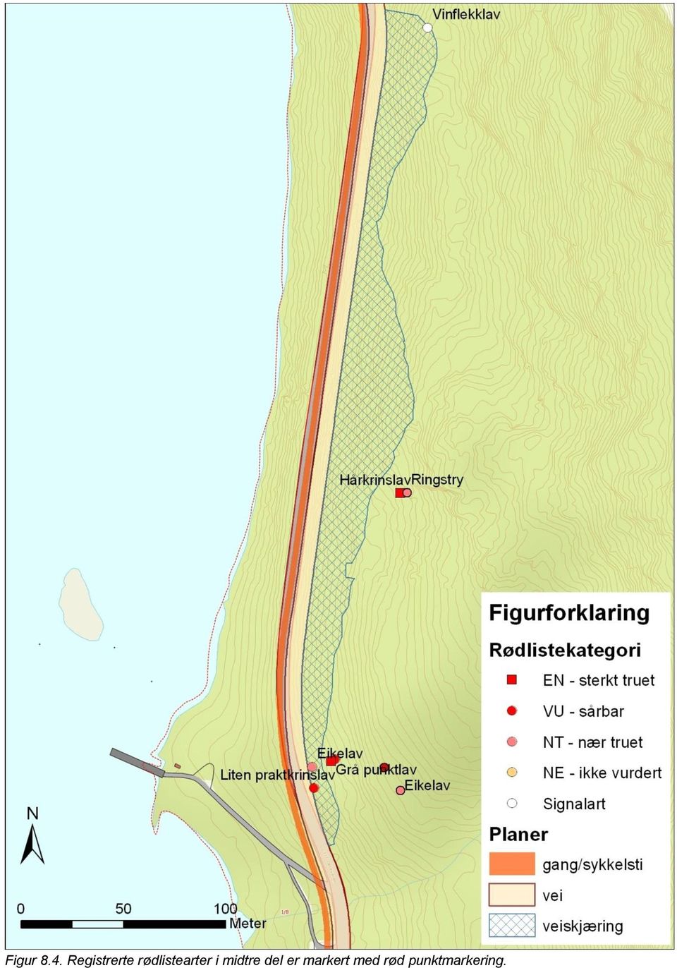 rødlistearter i