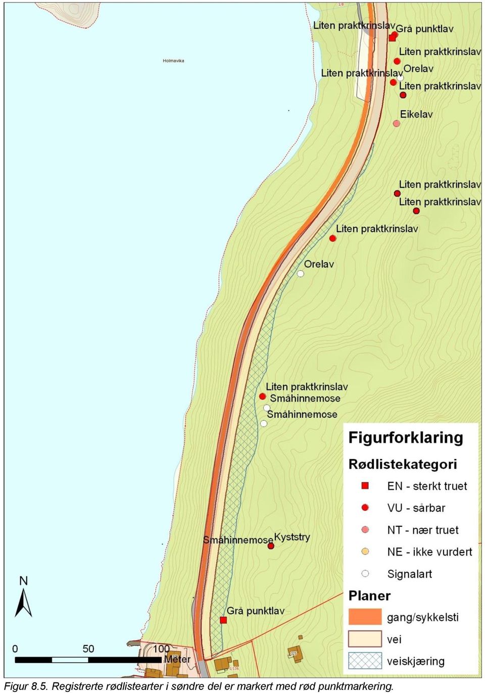 rødlistearter i