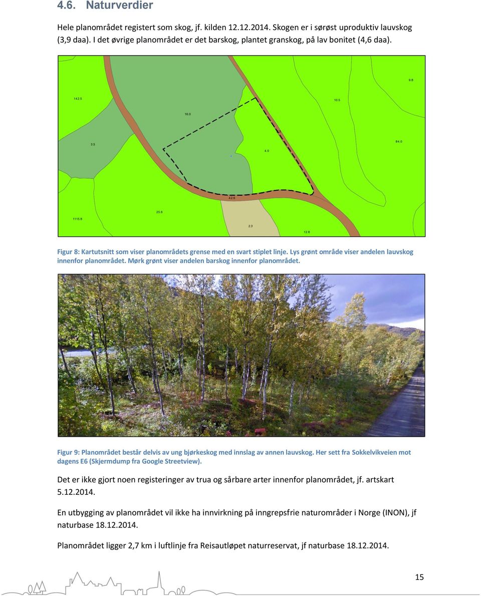 Lys grønt område viser andelen lauvskog innenfor planområdet. Mørk grønt viser andelen barskog innenfor planområdet. Figur 9: Planområdet består delvis av ung bjørkeskog med innslag av annen lauvskog.