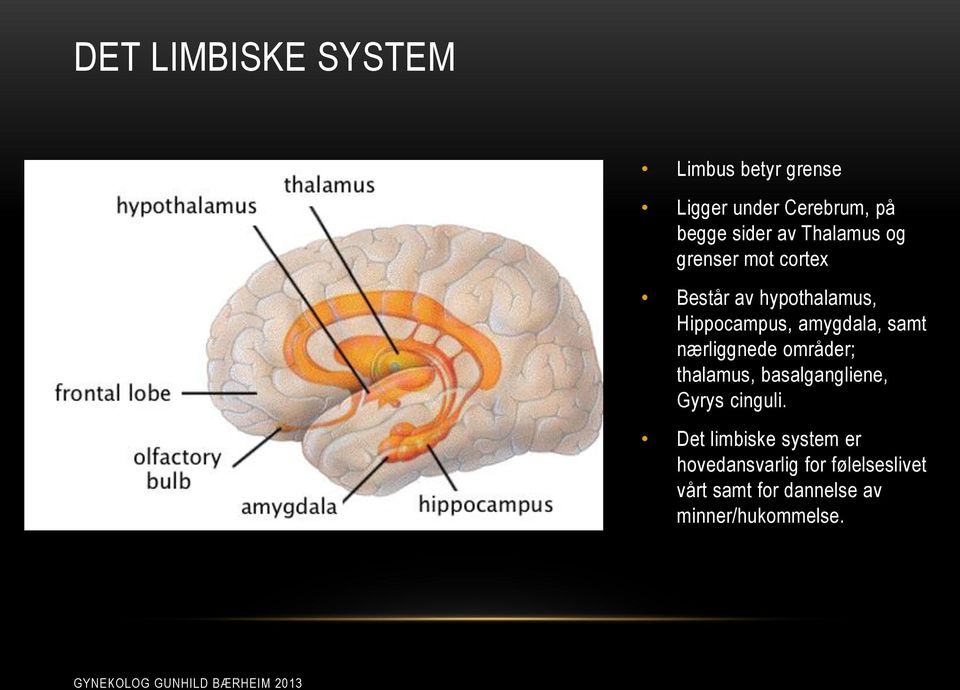 samt nærliggnede områder; thalamus, basalgangliene, Gyrys cinguli.