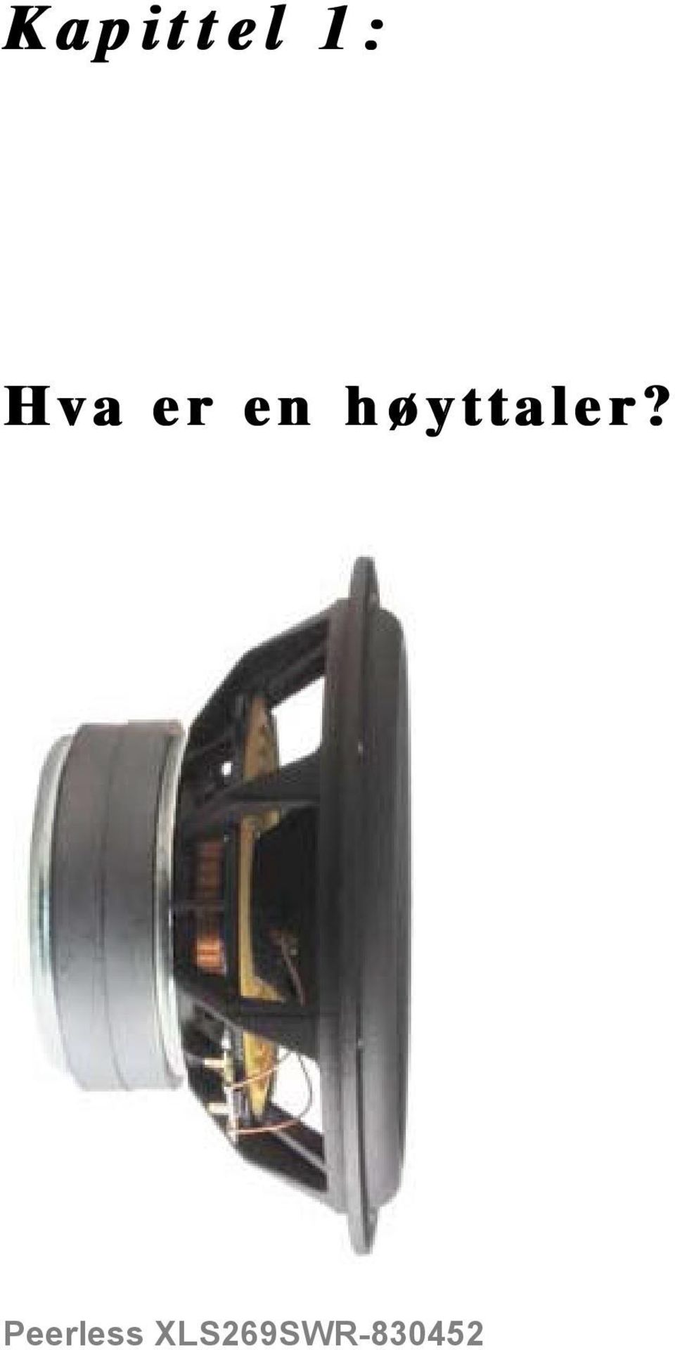 høyttaler?