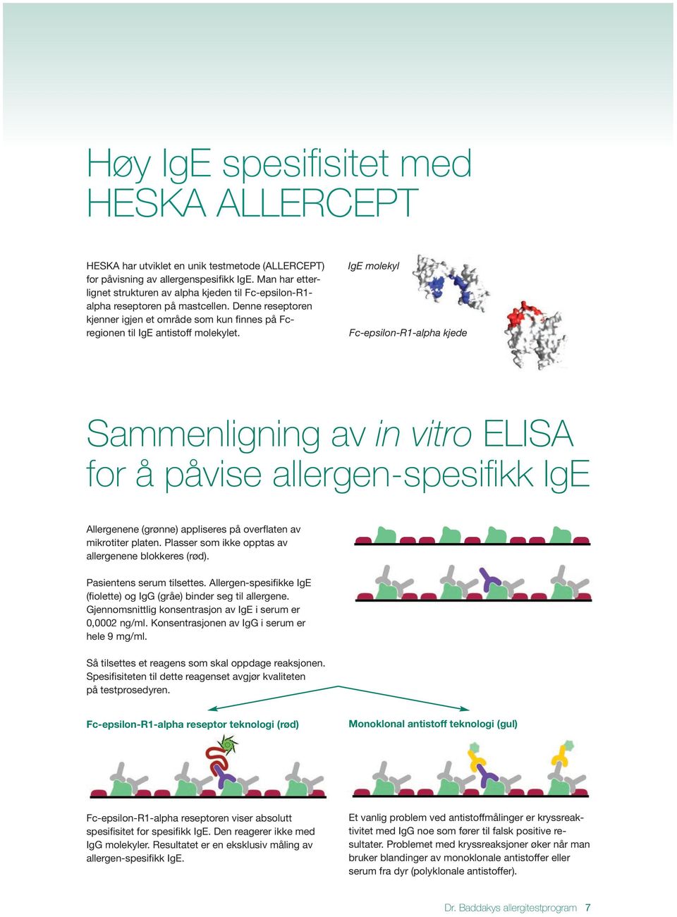 IgE molekyl Fc-epsilon-R1-alpha kjede Sammenligning av in vitro ELISA for å påvise allergen-spesifikk IgE Allergenene (grønne) appliseres på overflaten av mikrotiter platen.