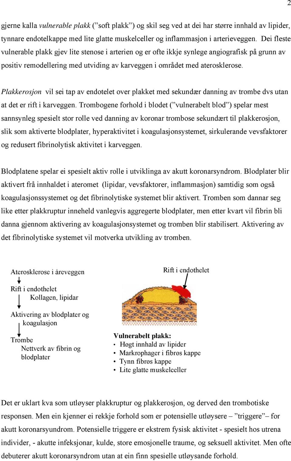 Plakkerosjon vil sei tap av endotelet over plakket med sekundær danning av trombe dvs utan at det er rift i karveggen.