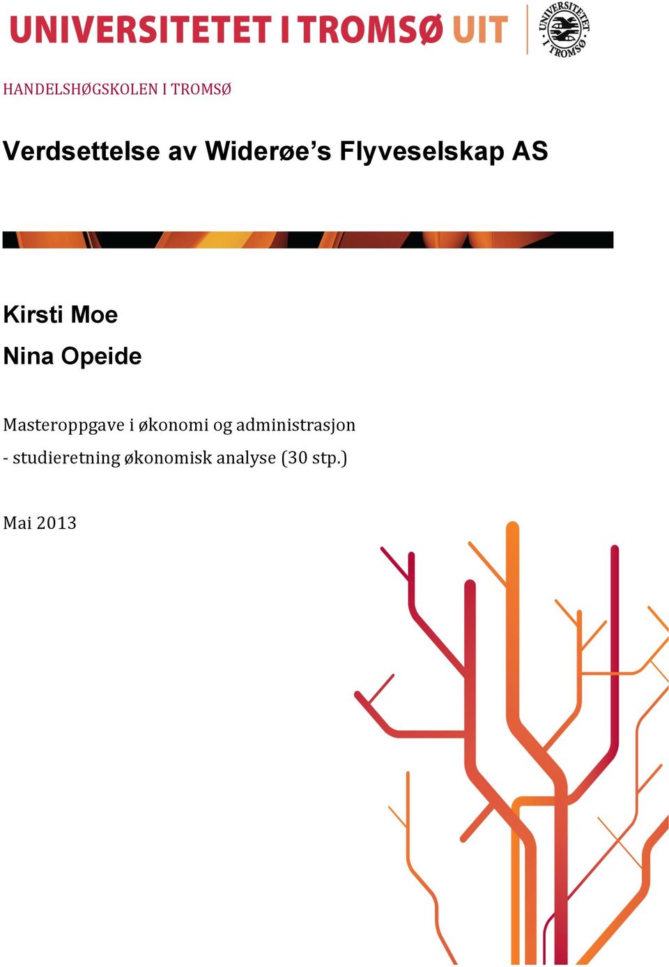 Opeide Masteroppgave i økonomi og