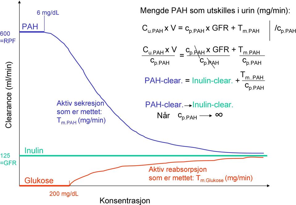 pah c p.pah c p.pah c p.pah T m..pah PAH-clear. = Inulin-clear. + cp.pah PAH-clear. Inulin-clear. Når c p.