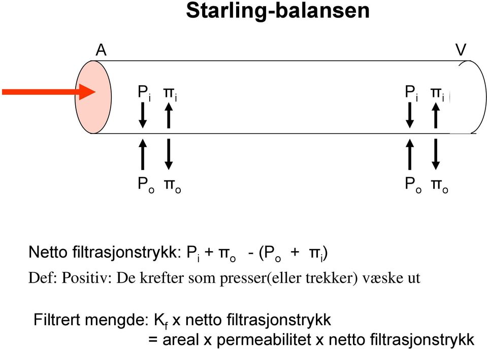 krefter som presser(eller trekker) væske ut Filtrert mengde: K f