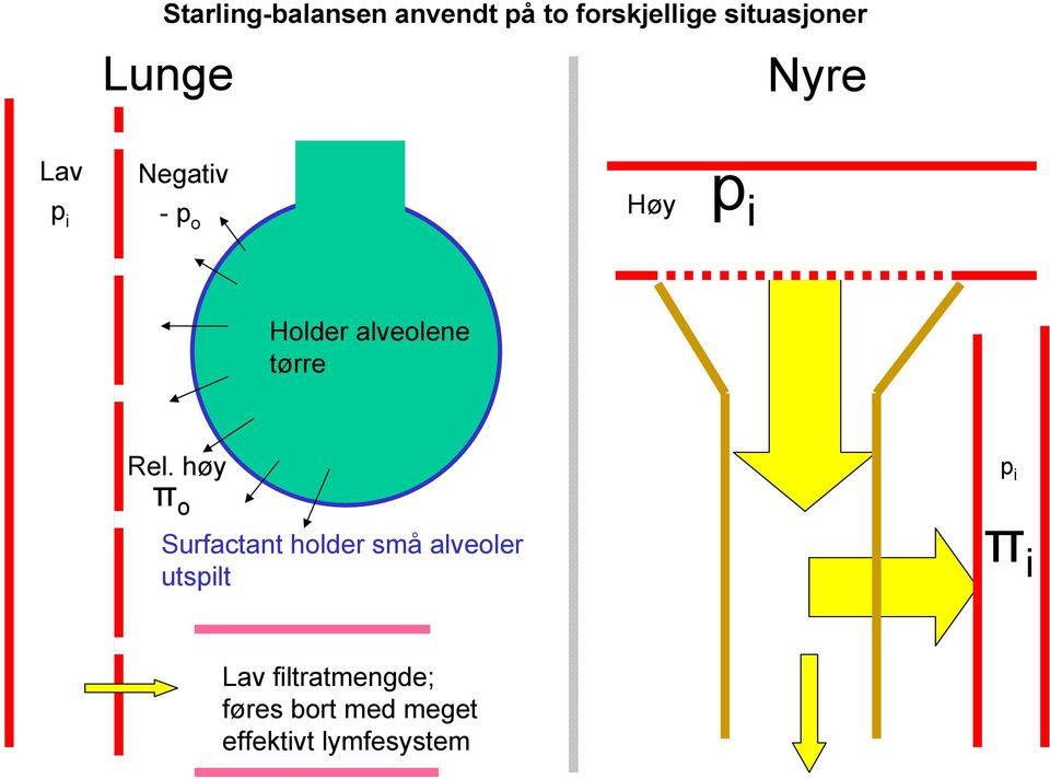 tørre Rel.