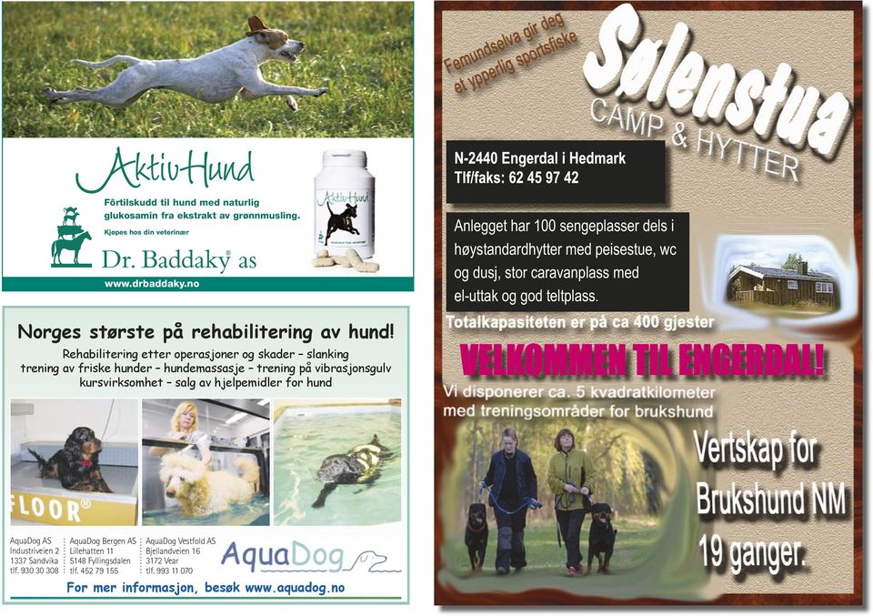 Rehabilitering etter operasjoner og skader slanking trening av friske hunder hundemassasje trening på vibrasjonsgulv kursvirksomhet salg