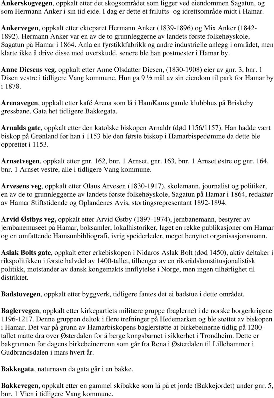 Anla en fyrstikkfabrikk og andre industrielle anlegg i området, men klarte ikke å drive disse med overskudd, senere ble han postmester i Hamar by.