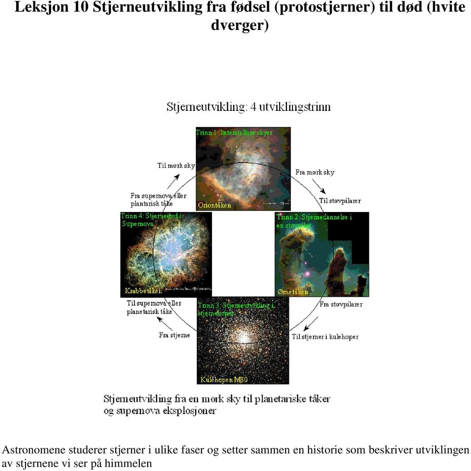 studerer stjerner i ulike faser og setter sammen en