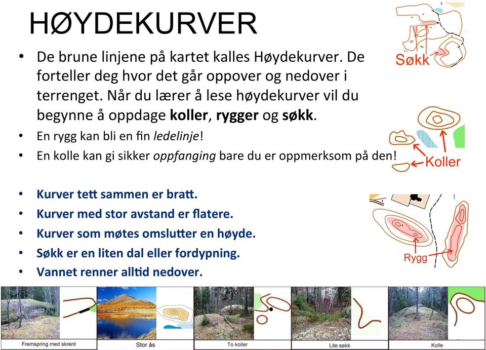 Når du lærer å lese høydekurver vil du begynne å oppdage koller, rygger og søkk. En rygg kan bli en fin ledelinje!