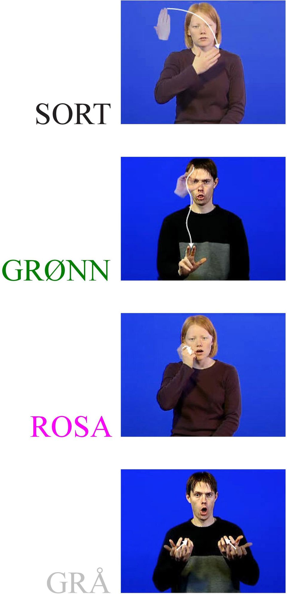 ROSA GRÅ