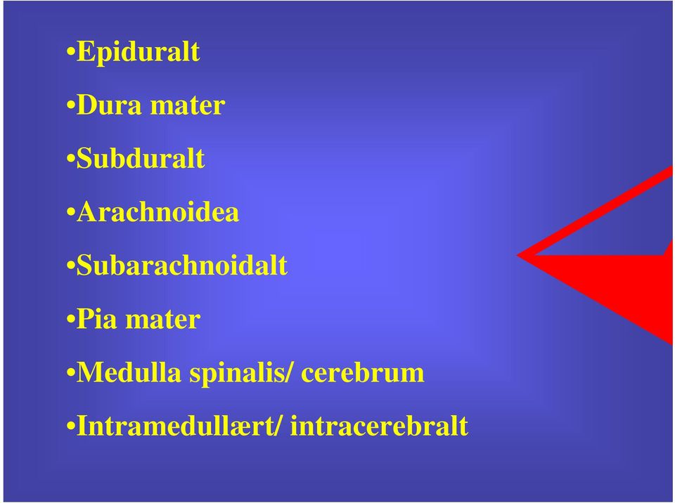 mater Medulla spinalis/