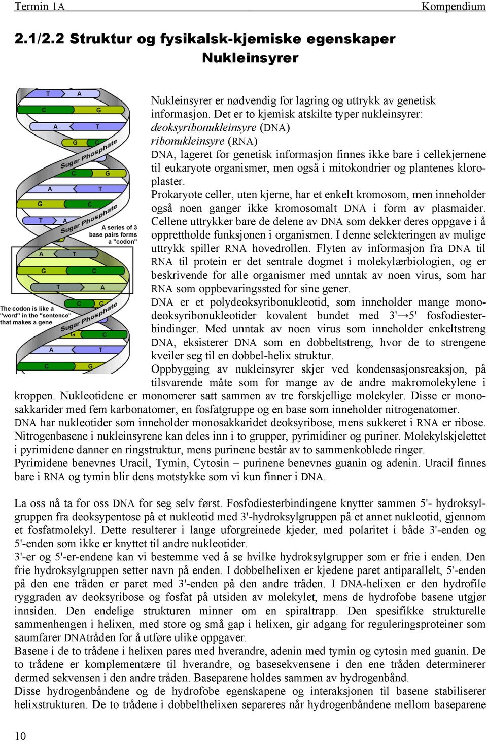 også i mitokondrier og plantenes kloroplaster. Prokaryote celler, uten kjerne, har et enkelt kromosom, men inneholder også noen ganger ikke kromosomalt DNA i form av plasmaider.