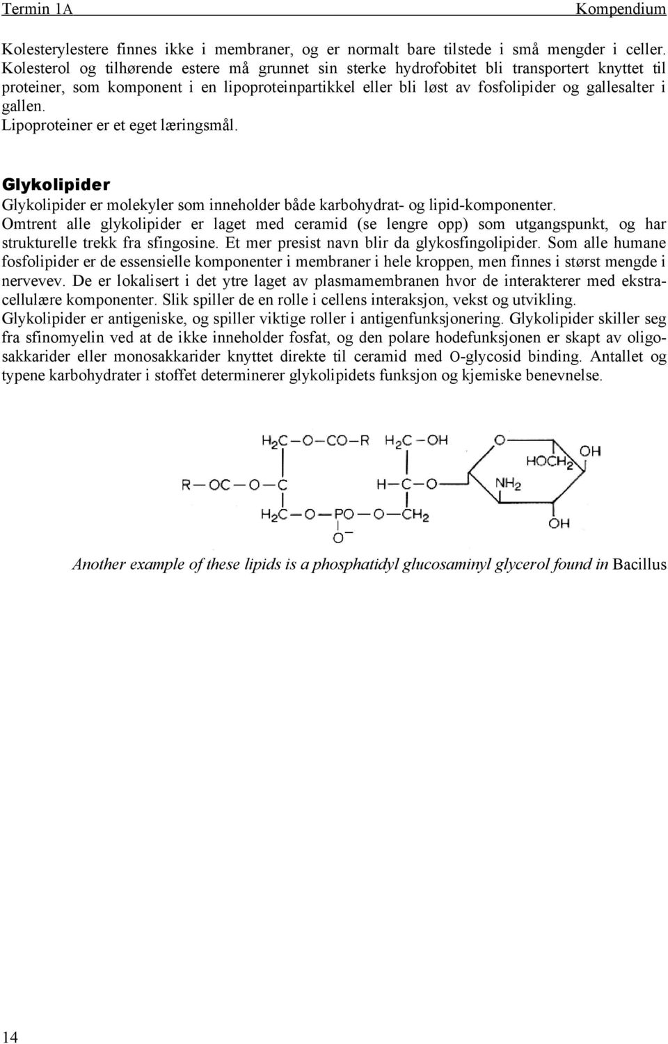 gallen. Lipoproteiner er et eget læringsmål. Glykolipider Glykolipider er molekyler som inneholder både karbohydrat- og lipid-komponenter.