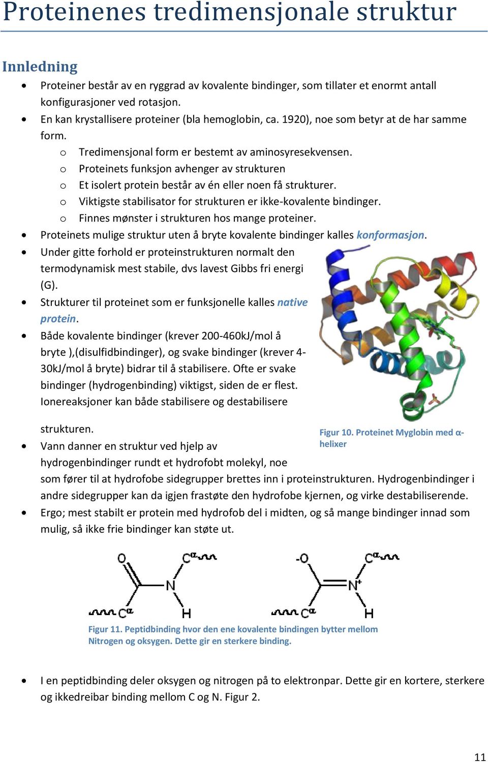 o Proteinets funksjon avhenger av strukturen o Et isolert protein består av én eller noen få strukturer. o Viktigste stabilisator for strukturen er ikke-kovalente bindinger.