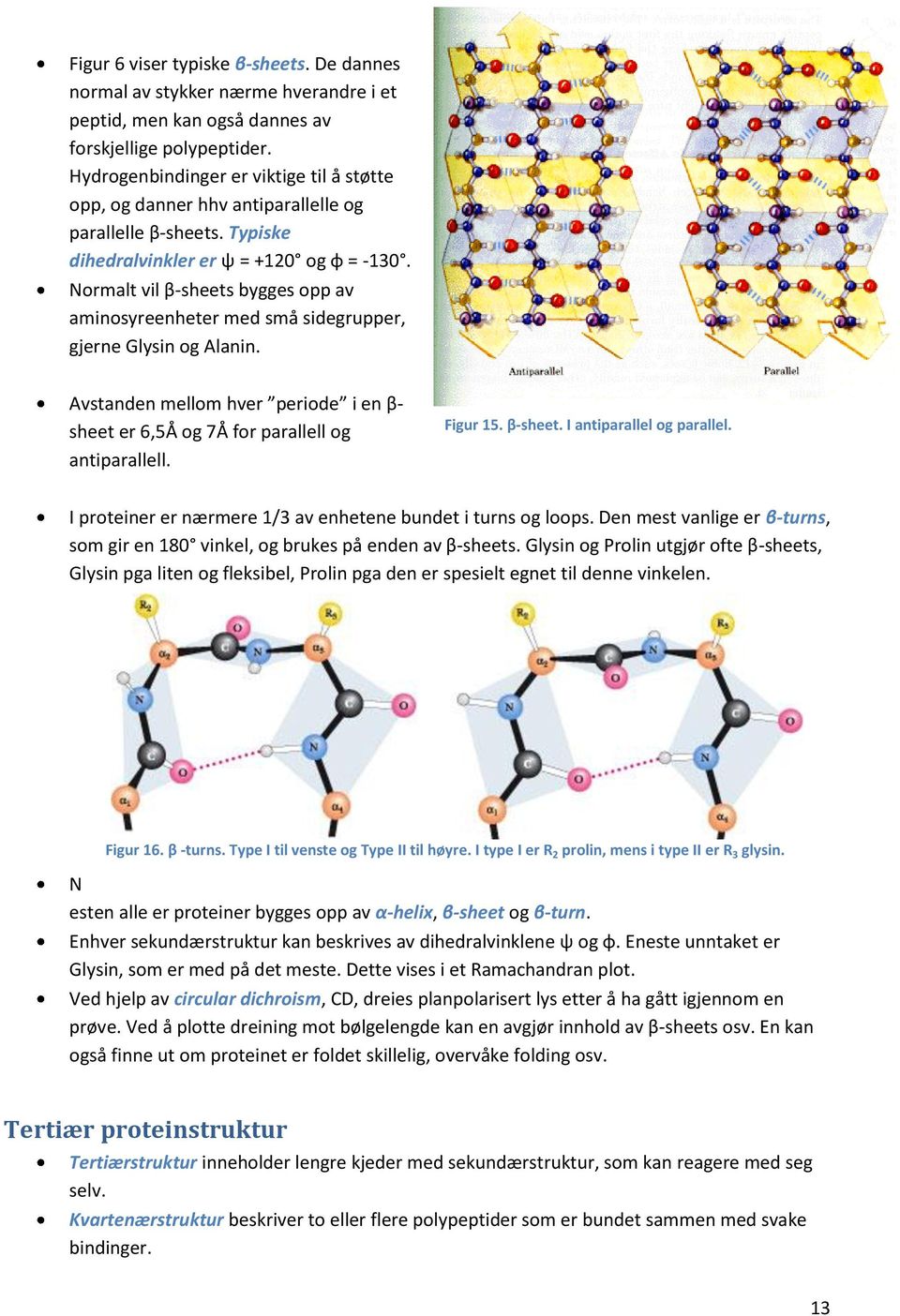 Normalt vil β-sheets bygges opp av aminosyreenheter med små sidegrupper, gjerne Glysin og Alanin. Avstanden mellom hver periode i en β- sheet er 6,5Å og 7Å for parallell og antiparallell. Figur 15.