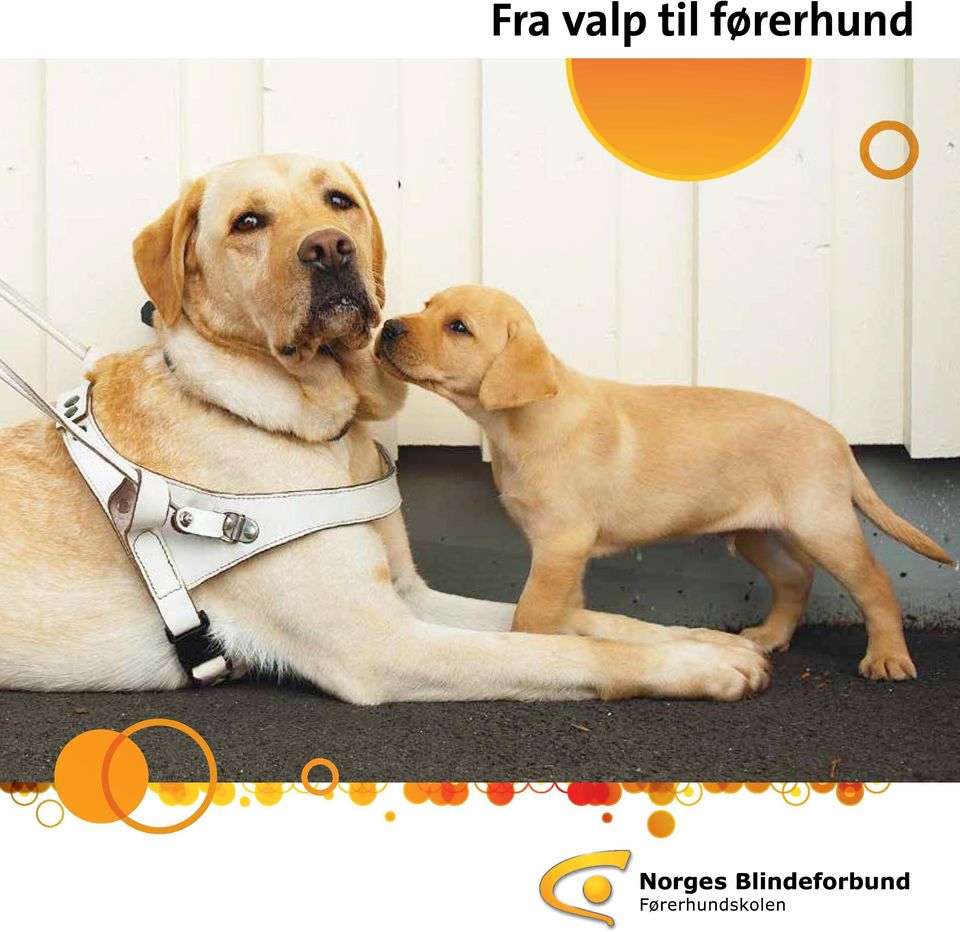 førerhund