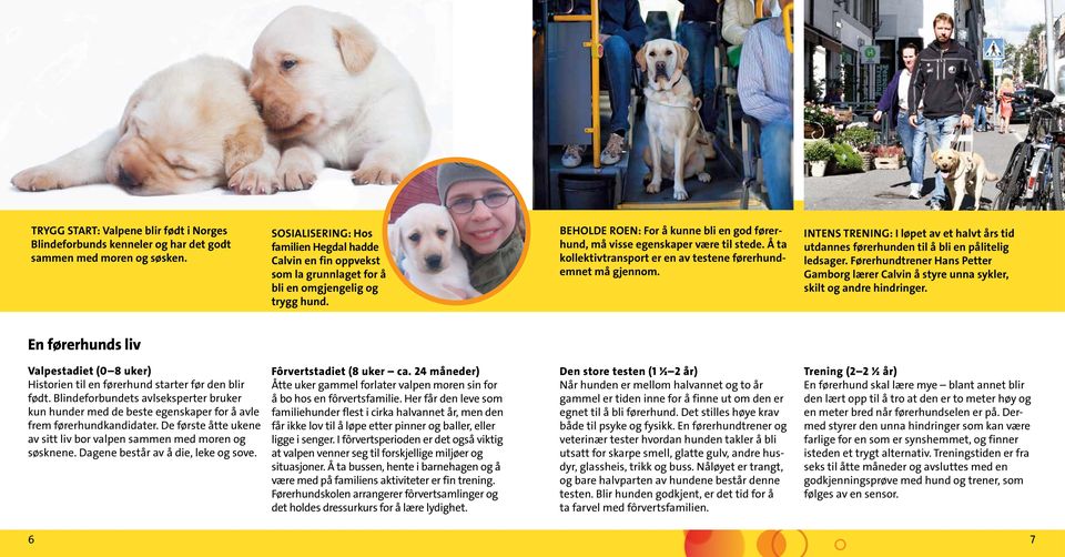 BEHOLDE ROEN: For å kunne bli en god førerhund, må visse egenskaper være til stede. Å ta kollektivtransport er en av testene førerhundemnet må gjennom.