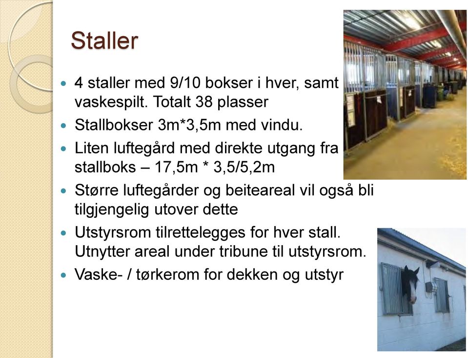 Liten luftegård med direkte utgang fra stallboks 17,5m * 3,5/5,2m Større luftegårder og