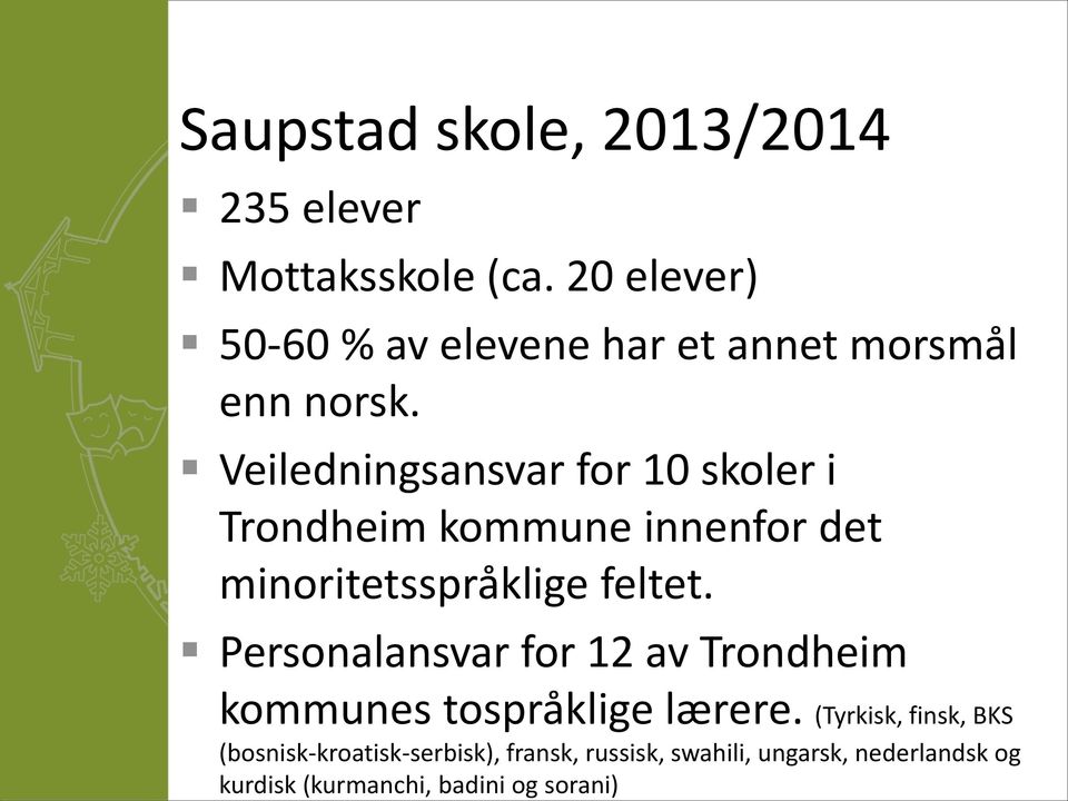 Veiledningsansvar for 10 skoler i Trondheim kommune innenfor det minoritetsspråklige feltet.