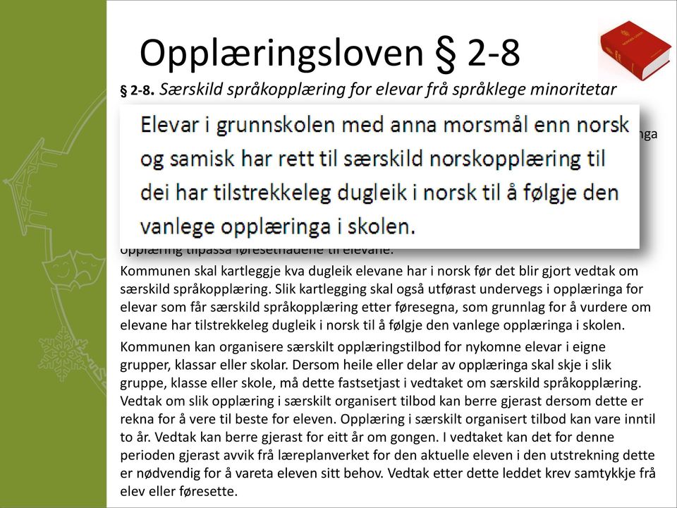 til å følgje den vanlege opplæringa i skolen. Om nødvendig har slike elevar også rett til morsmålsopplæring, tospråkleg fagopplæring eller begge delar.