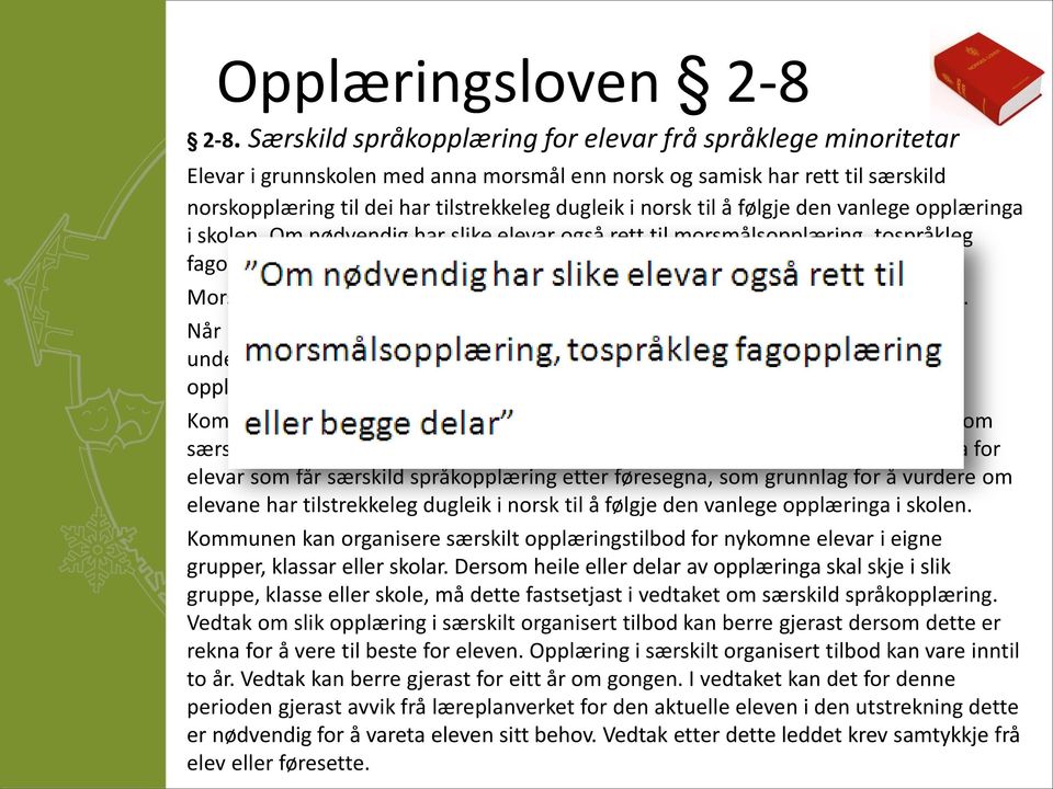 til å følgje den vanlege opplæringa i skolen. Om nødvendig har slike elevar også rett til morsmålsopplæring, tospråkleg fagopplæring eller begge delar.