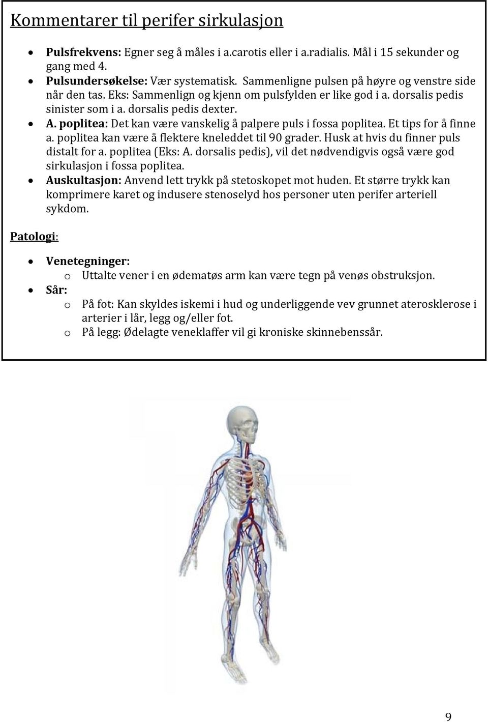 poplitea: Det kan være vanskelig å palpere puls i fossa poplitea. Et tips for å finne a. poplitea kan være å flektere kneleddet til 90 grader. Husk at hvis du finner puls distalt for a.