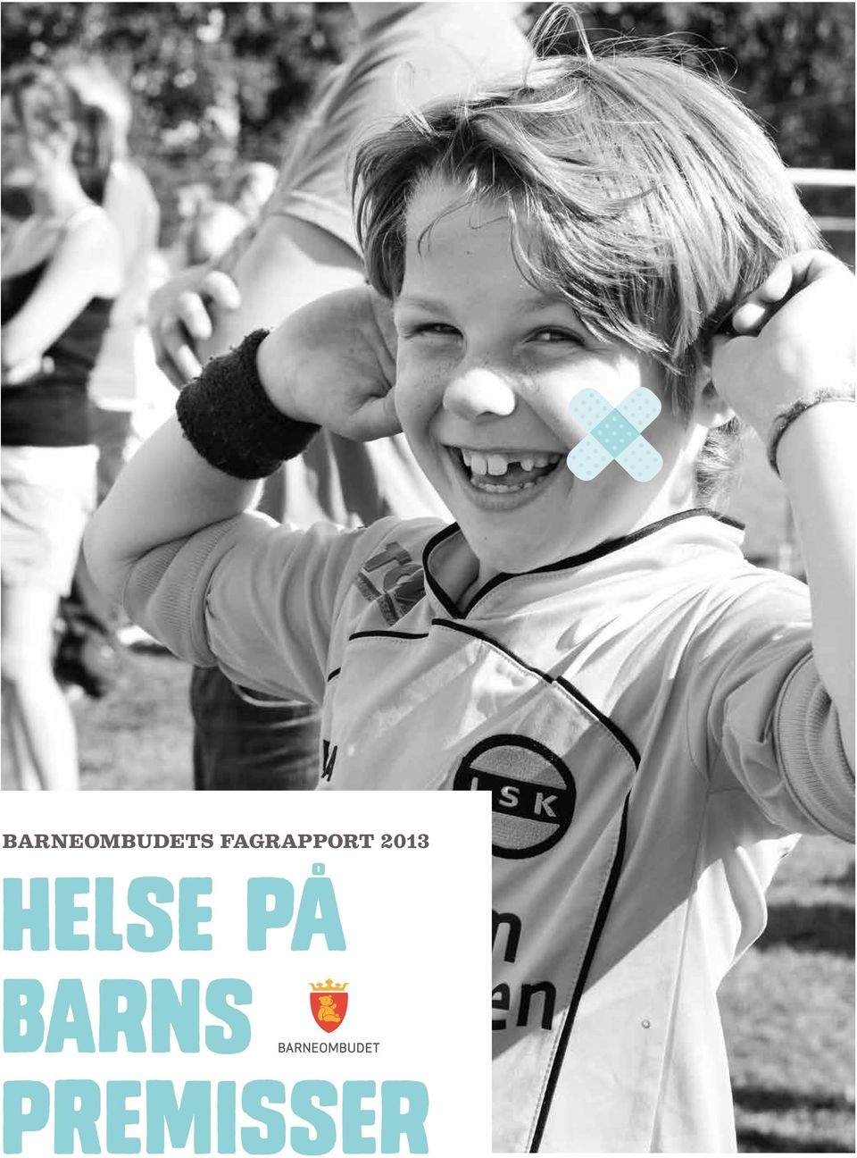 2013 Helse på