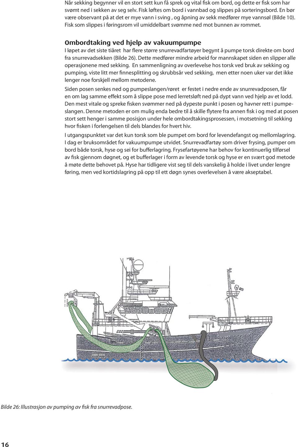 Ombordtaking ved hjelp av vakuumpumpe I løpet av det siste tiåret har flere større snurrevadfartøyer begynt å pumpe torsk direkte om bord fra snurrevadsekken (Bilde 26).