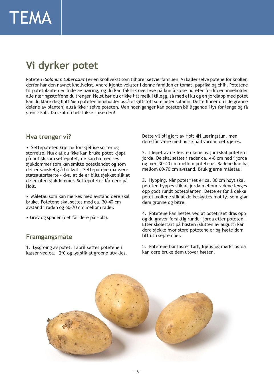 Potetene til potetplanten er fulle av næring, og du kan faktisk overleve på kun å spise poteter fordi den inneholder alle næringsstoffene du trenger.