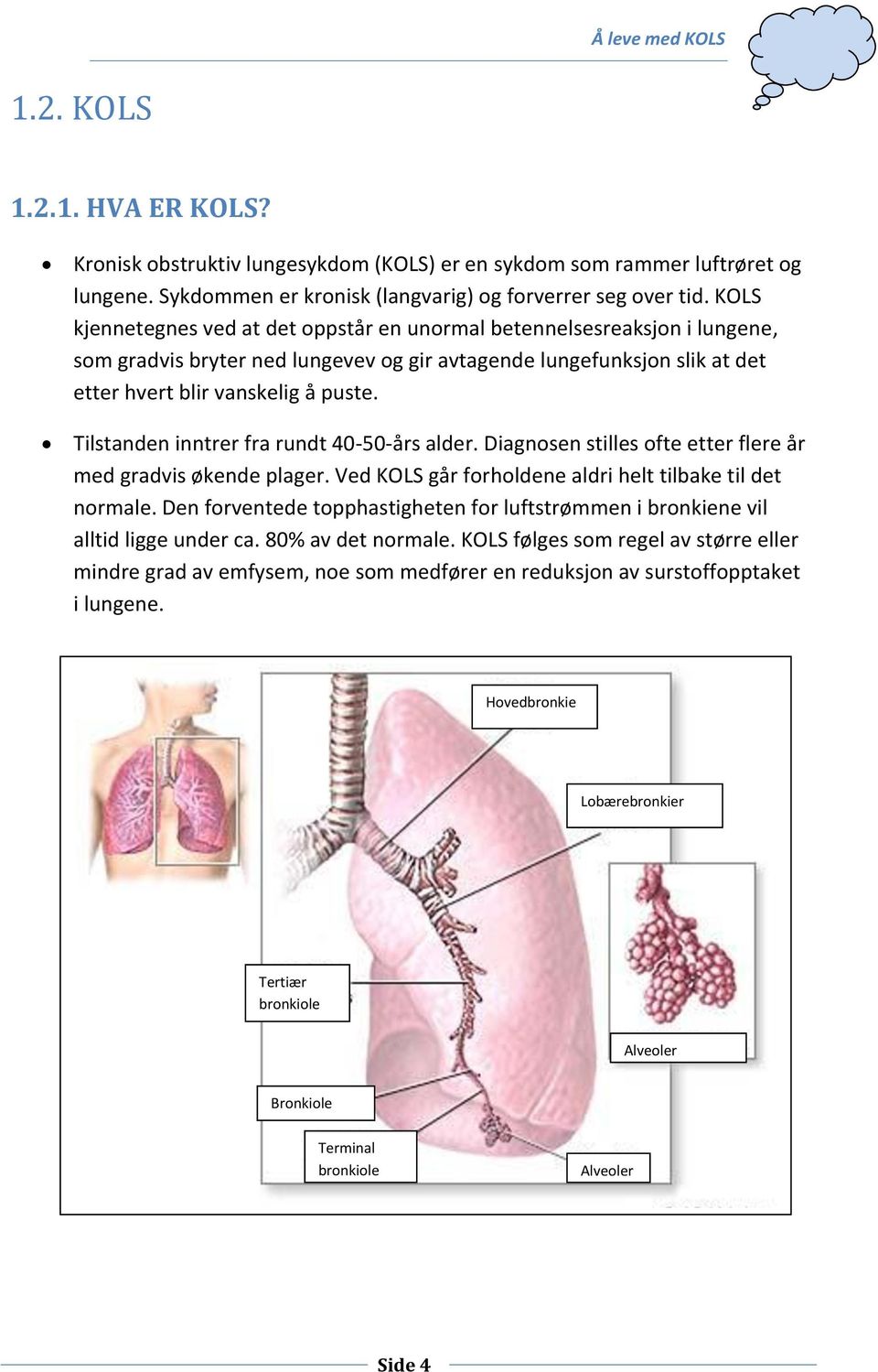 Tilstanden inntrer fra rundt 40-50-års alder. Diagnosen stilles ofte etter flere år med gradvis økende plager. Ved KOLS går forholdene aldri helt tilbake til det normale.