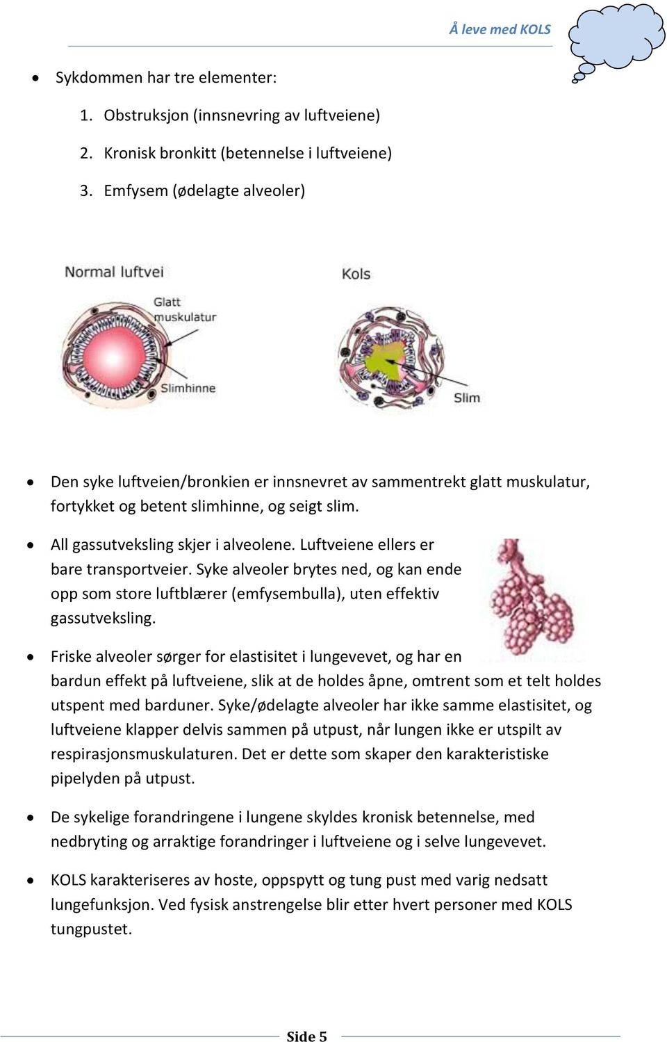 Luftveiene ellers er bare transportveier. Syke alveoler brytes ned, og kan ende opp som store luftblærer (emfysembulla), uten effektiv gassutveksling.