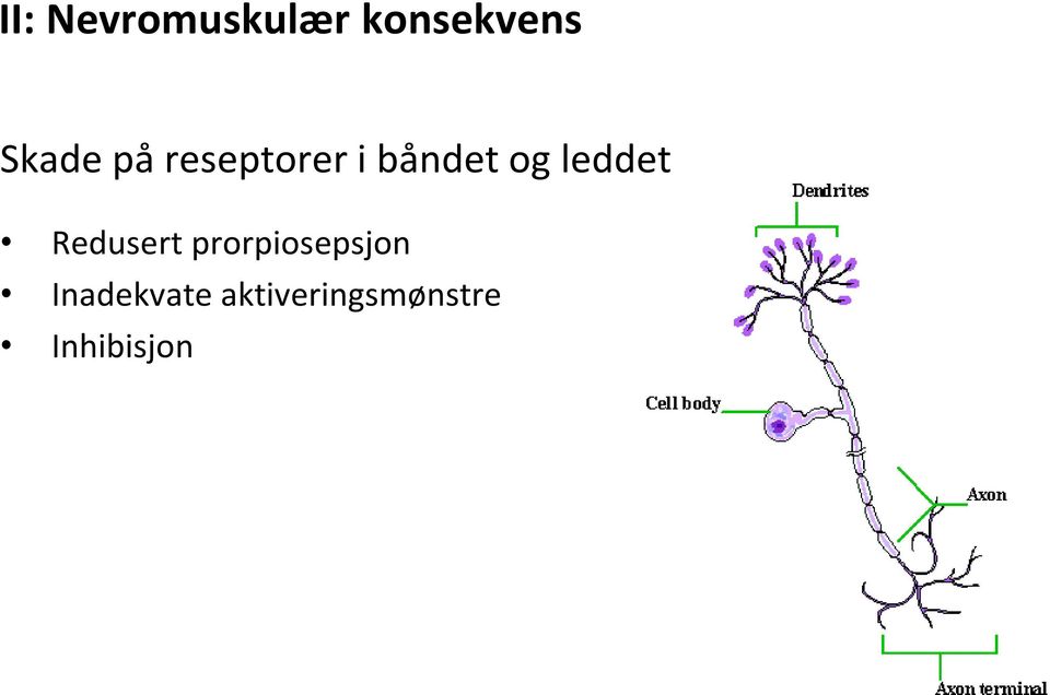 leddet Redusert prorpiosepsjon