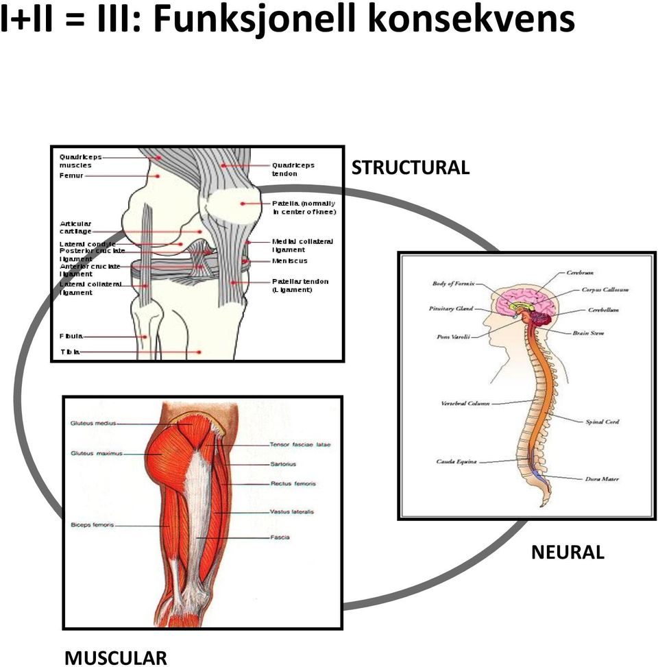 konsekvens