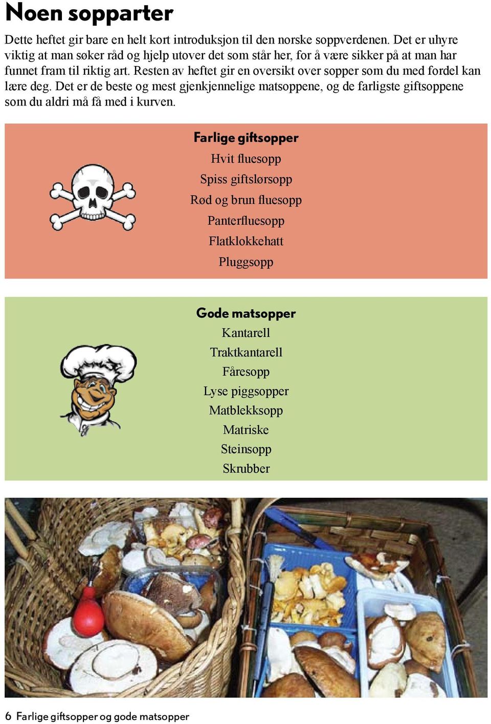 Resten av heftet gir en oversikt over sopper som du med fordel kan lære deg.