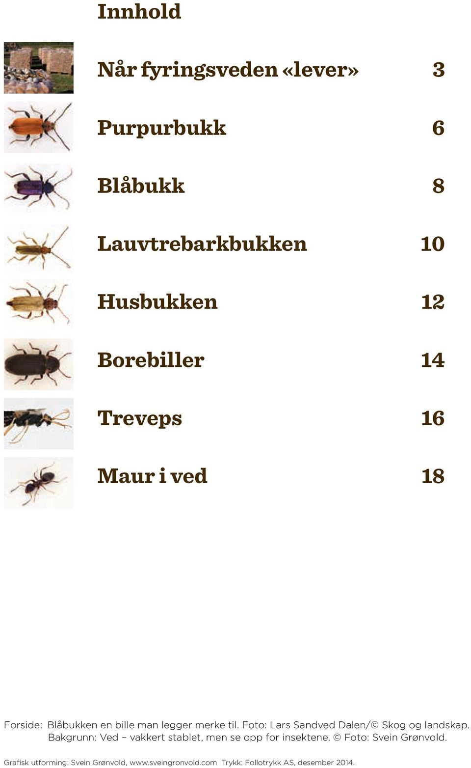 Foto: Lars Sandved Dalen/ Skog og landskap. Bakgrunn: Ved vakkert stablet, men se opp for insektene.