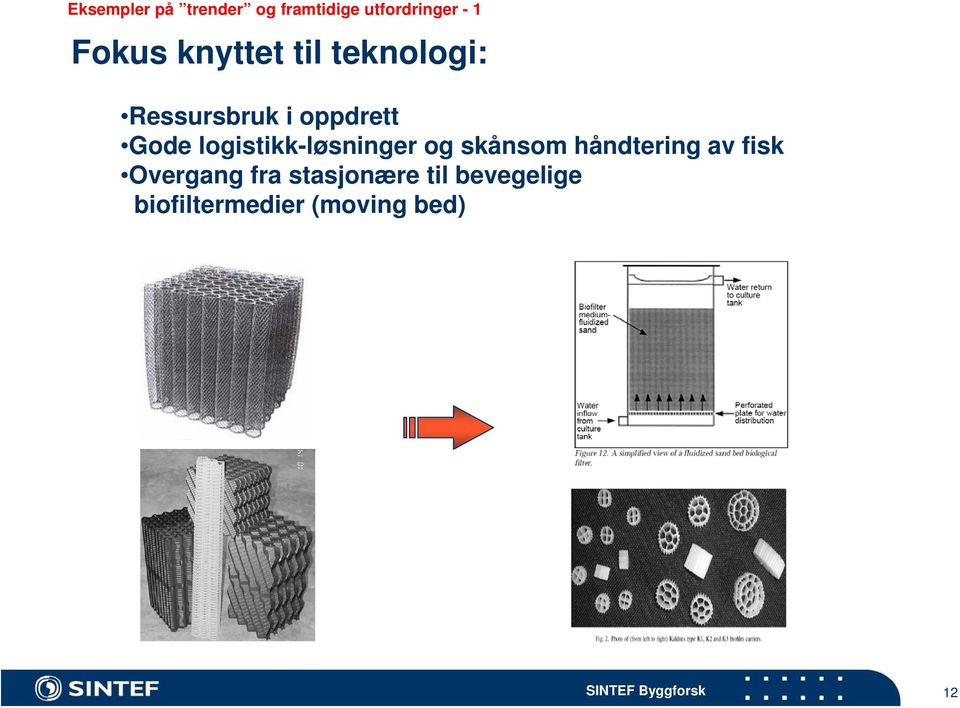 logistikk-løsninger og skånsom håndtering av fisk