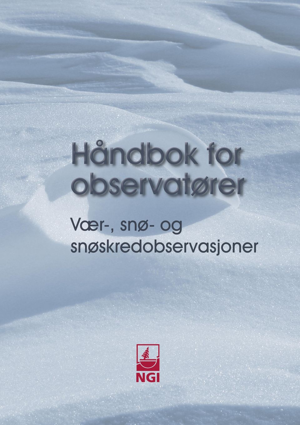 Vær-, snø- og