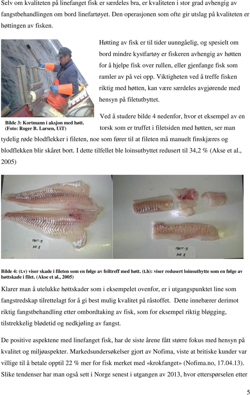 Larsen, UiT) Høtting av fisk er til tider uunngåelig, og spesielt om bord mindre kystfartøy er fiskeren avhengig av høtten for å hjelpe fisk over rullen, eller gjenfange fisk som ramler av på vei opp.