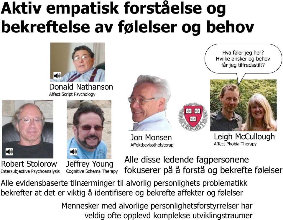 Jeffrey Young Cognitive Schema Therapy Alle disse ledende fagpersonene fokuserer på å forstå og bekrefte følelser Alle evidensbaserte tilnærminger til alvorlig