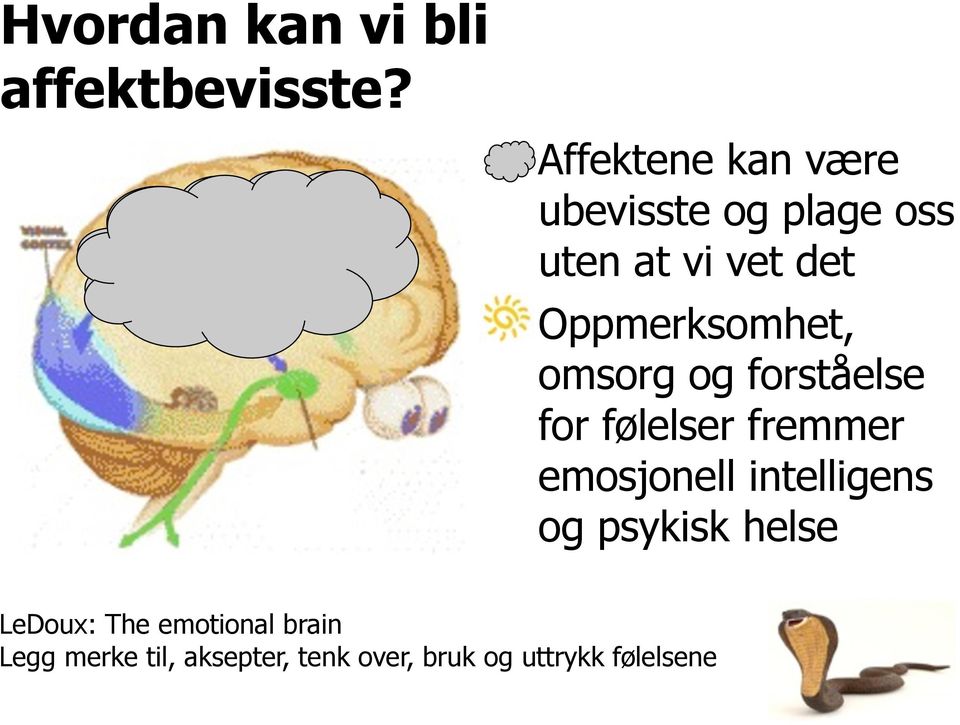 Oppmerksomhet, omsorg og forståelse for følelser fremmer emosjonell