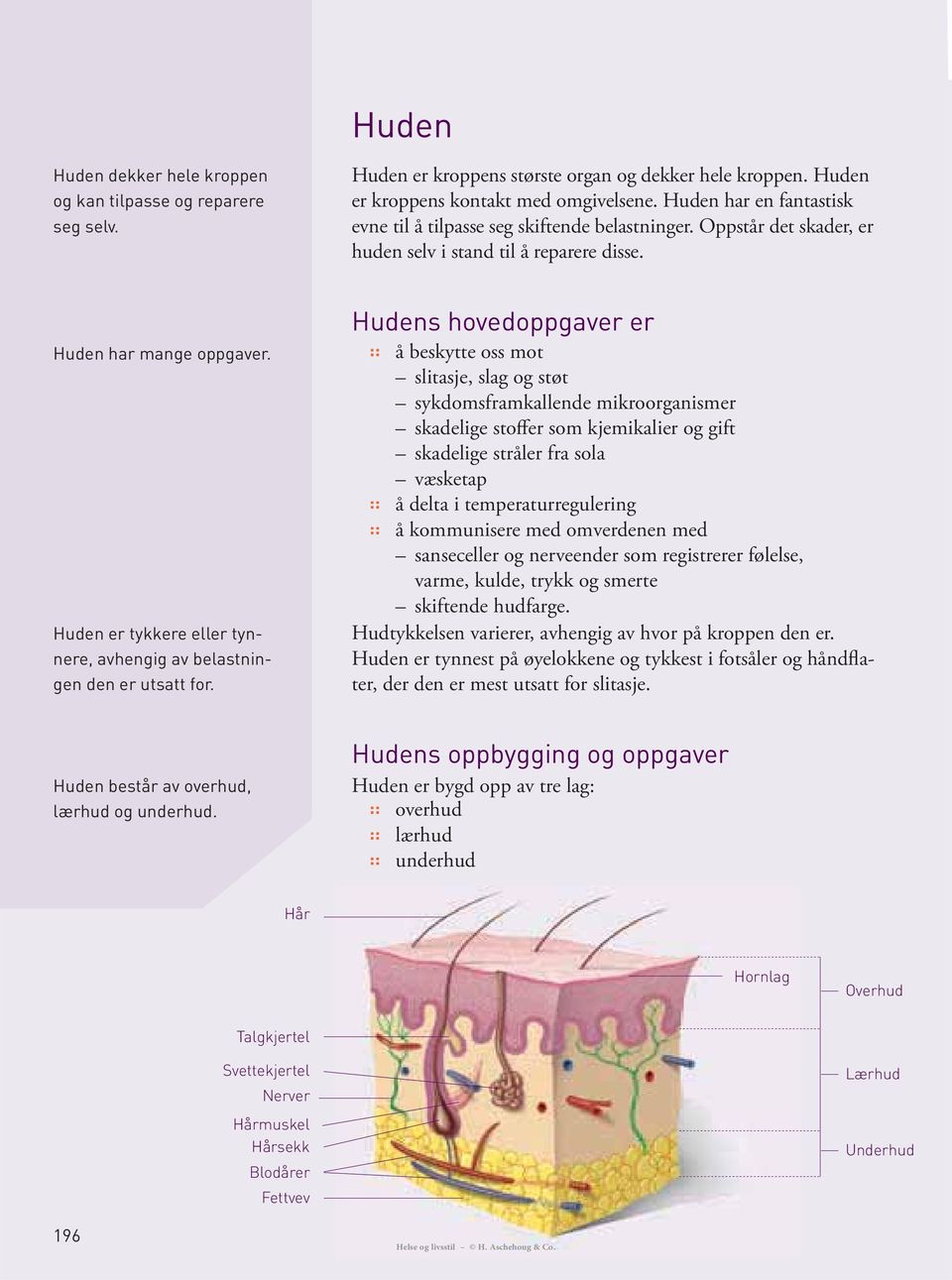 å beskytte oss mot slitasje, slag og støt sykdomsframkallende mikroorganismer skadelige stoffer som kjemikalier og gift skadelige stråler fra sola væsketap å delta i temperaturregulering å