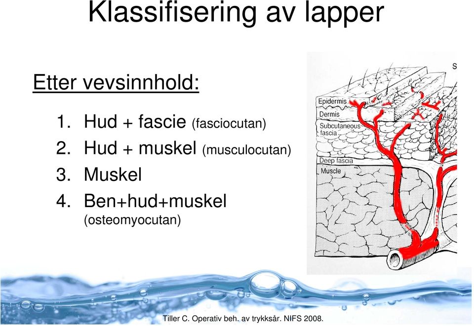 Hud + fascie (fasciocutan) 2.