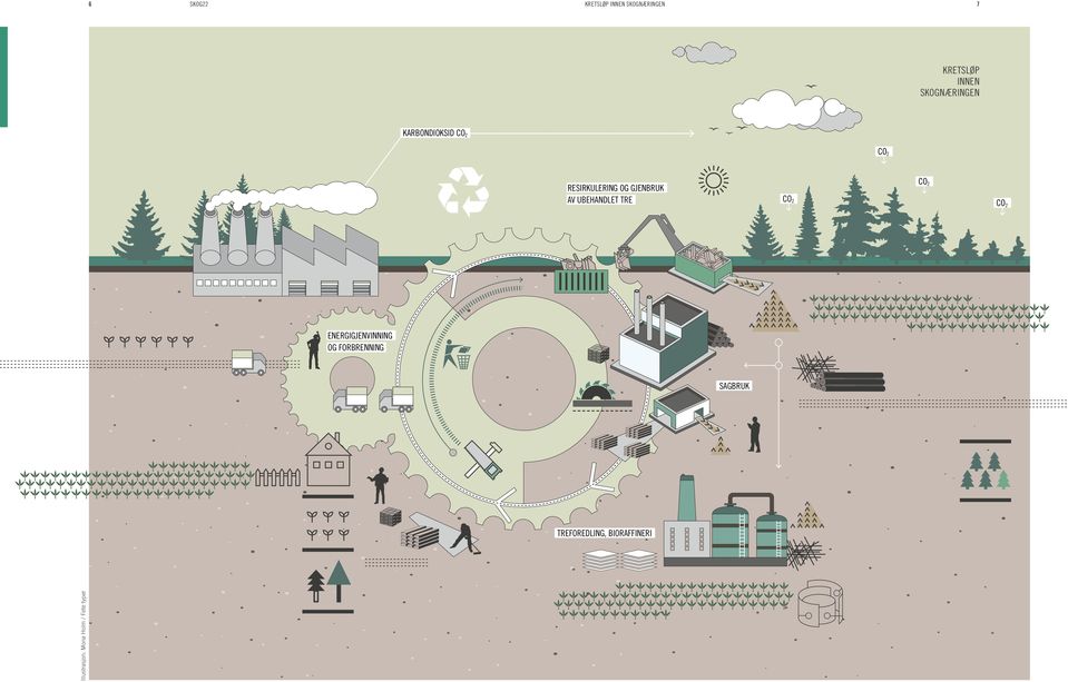 AV UBEHANDLET TRE CO 2 CO 2 CO 2 ENERGIGJENVINNING OG