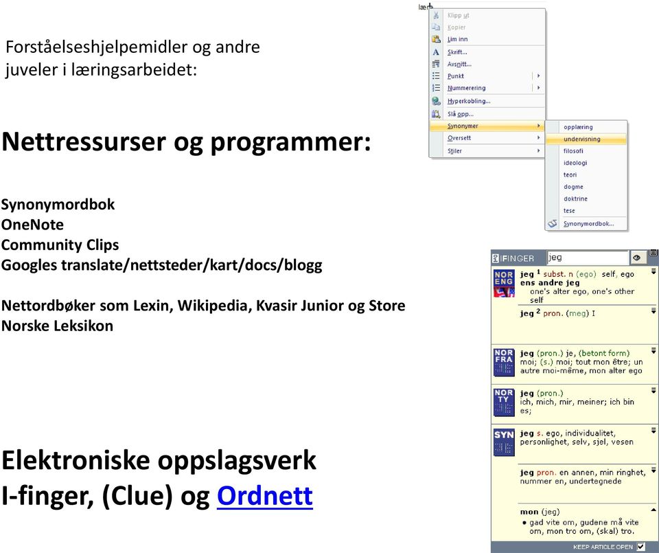 translate/nettsteder/kart/docs/blogg Nettordbøker som Lexin, Wikipedia,