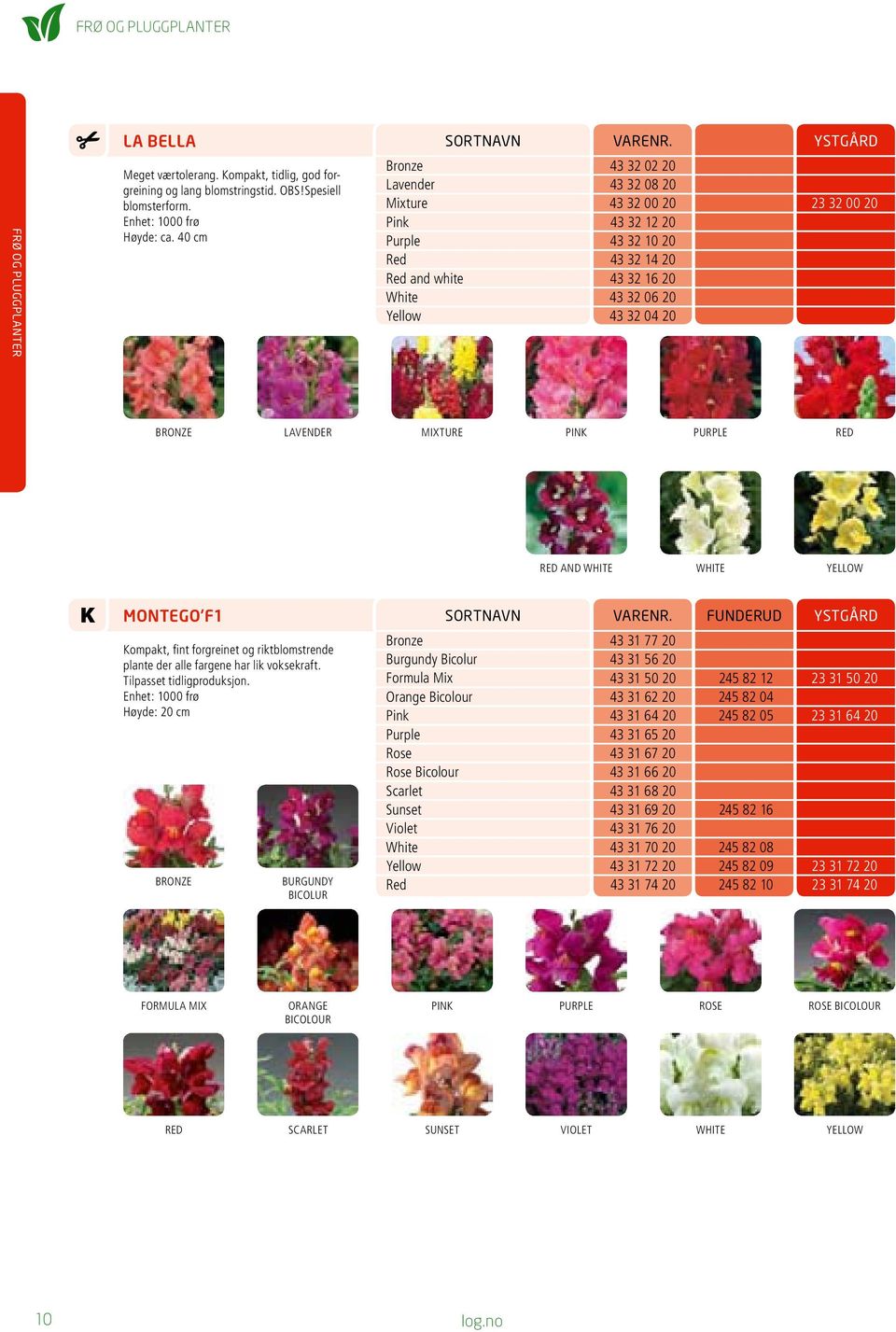 fint forgreinet og riktblomstrende plante der alle fargene har lik voksekraft. Tilpasset tidligproduksjon.